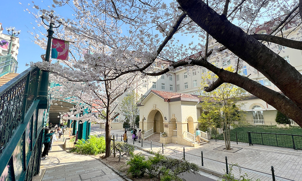 宝塚　花のみち