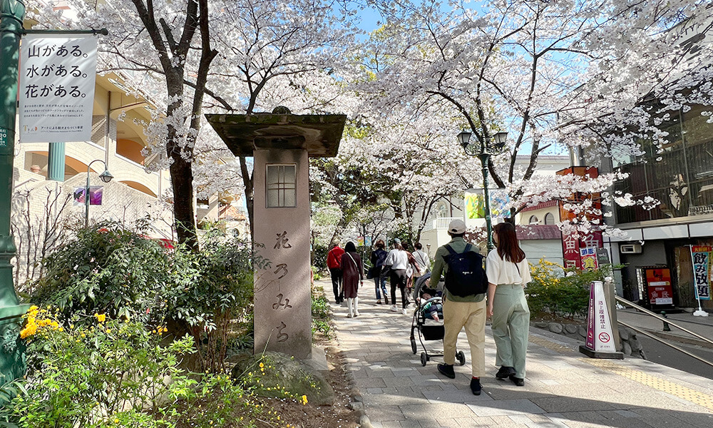 宝塚　花のみち