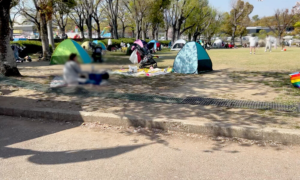 万博記念公園　ポップアップテント