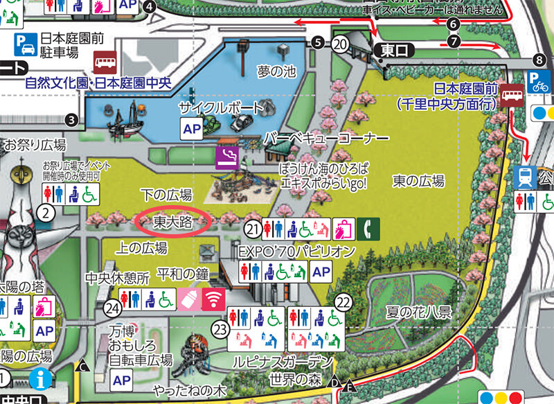 万博記念公園・ライトアップ